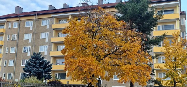 Syväraumankatu 16 A