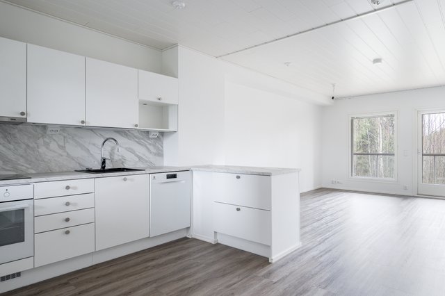 Kuunsilta 10, Kuopio (Savolanniemi), Kuva 3, esikatselu