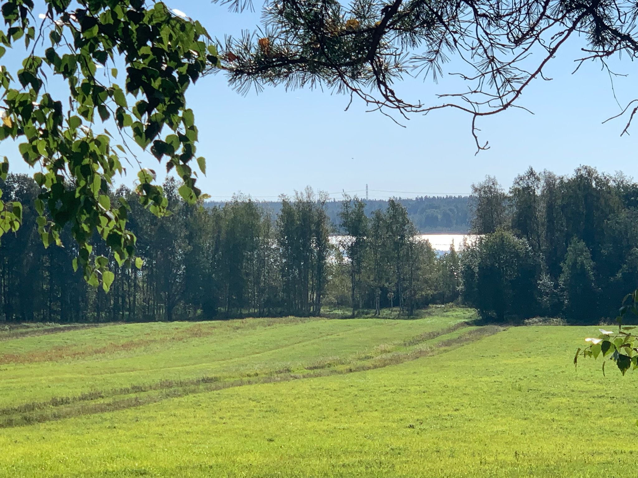 Omakotitalotontti, Evitskogintie, Kirkkonummi, Lapinkylä, 1,48 m², 290 000,00 €