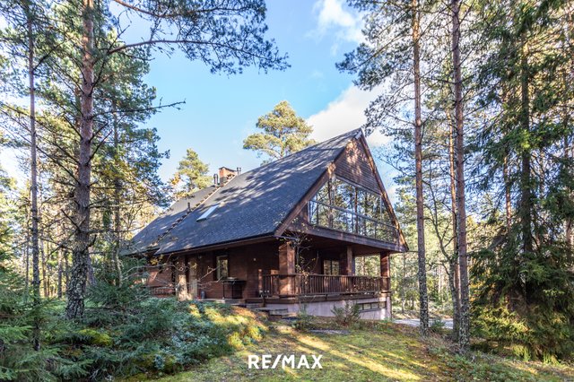 Pallokuusenmäki 3