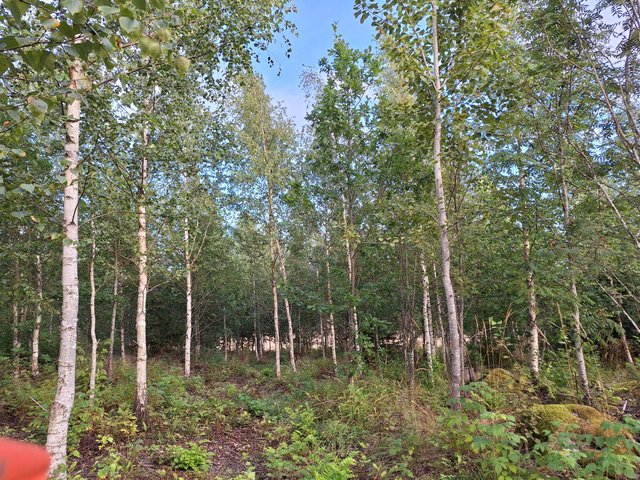 Skepparsintie 95, Sipoo (Linnanpelto), Kuva 7, esikatselu