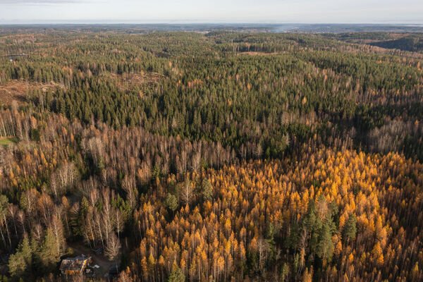 Pusulantie 260, Karkkila, Kuva 5, esikatselu