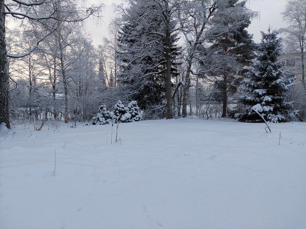 Kuusistoportti 1, Hämeenlinna (Idänpää), Kuva 1, esikatselu