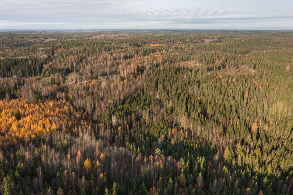 Pusulantie 260, Karkkila, Kuva 2, esikatselu