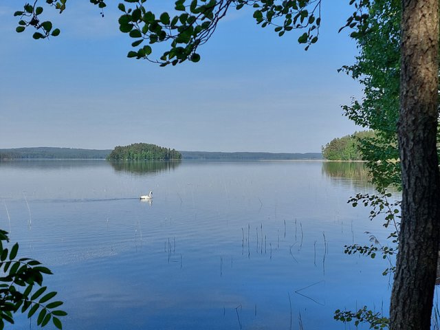 Mökkitie 53a, Keihärinkoski, Kuva 5, esikatselu