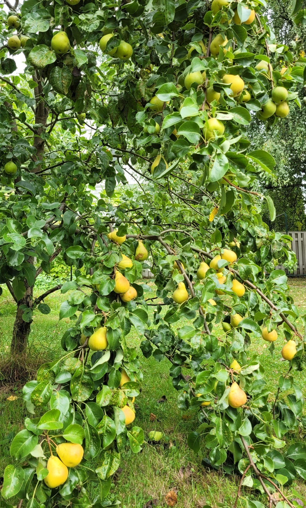Kuva vuosien varrelta, saatu asiakkaalta.