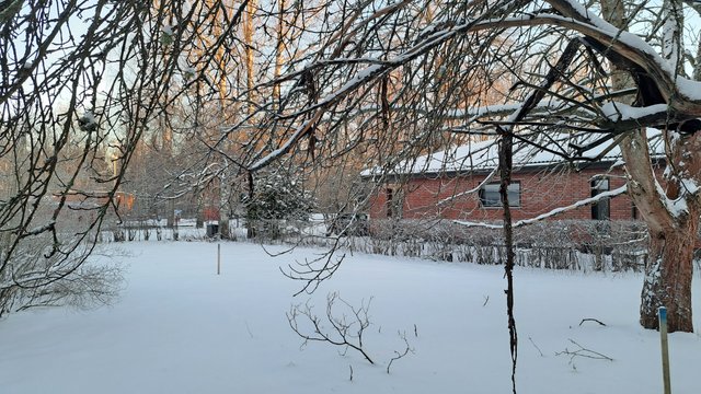 Keulatie 9, Helsinki (Vuosaari,Rastila), Kuva 3, esikatselu