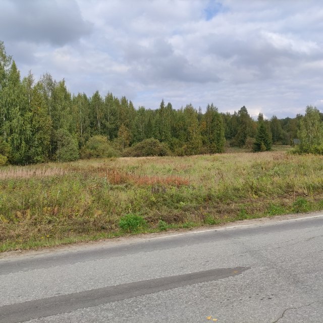 Pohjankapeentie 37