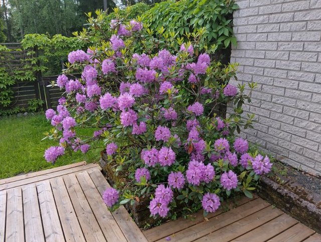 Sauvonrinne 5, Lohja (Perttilä), Kuva 22, esikatselu