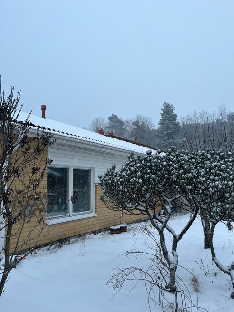 Karrinkatu, Turku (Länsikeskus), Kuva 28, esikatselu