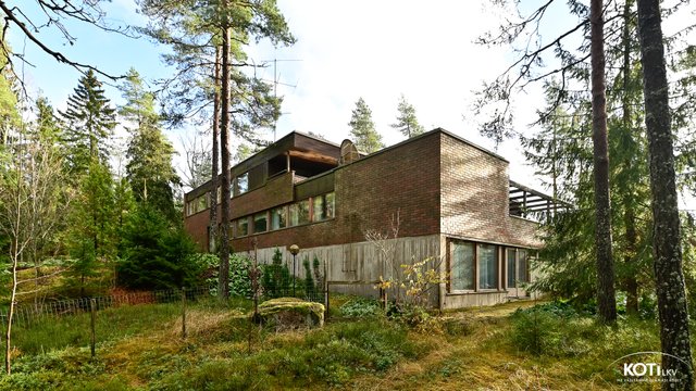 Marcus Collinin kuja 3