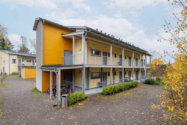 Polvipolku 20 C