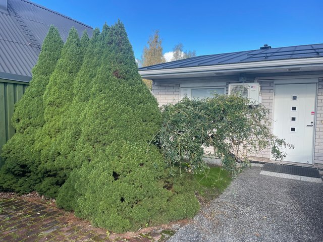 Siilipolku 8