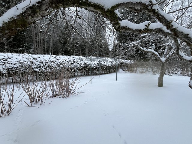 Pikosuonkatu 9, Hyvinkää (Kruununpuisto), Kuva 25, esikatselu