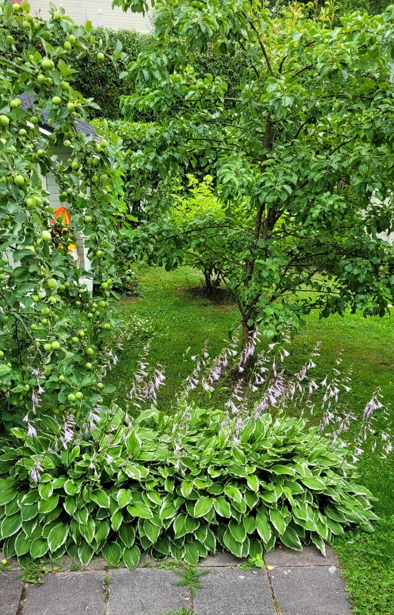 Kuva vuosien varrelta, saatu asiakkaalta.