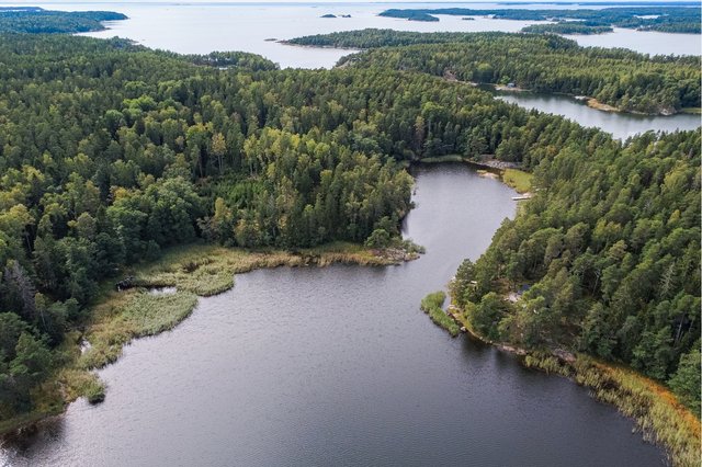 Svedjevikintie 67