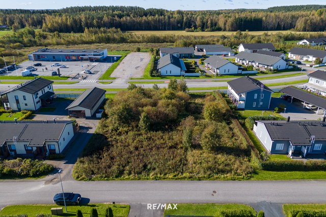 Hämeenlinnan Sampo rivitalotontit