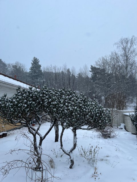 Karrinkatu, Turku (Länsikeskus), Kuva 27, esikatselu