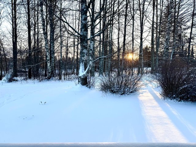 Siihtalantie 20, Joensuu (Siihtala), Kuva 19, esikatselu