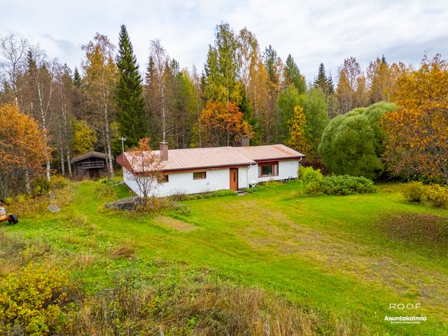 KolehmaisenlenkkI 57