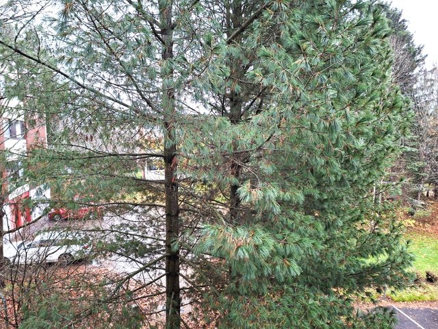 Saniaistie 7, Helsinki (Tapanila), Kuva 10, esikatselu