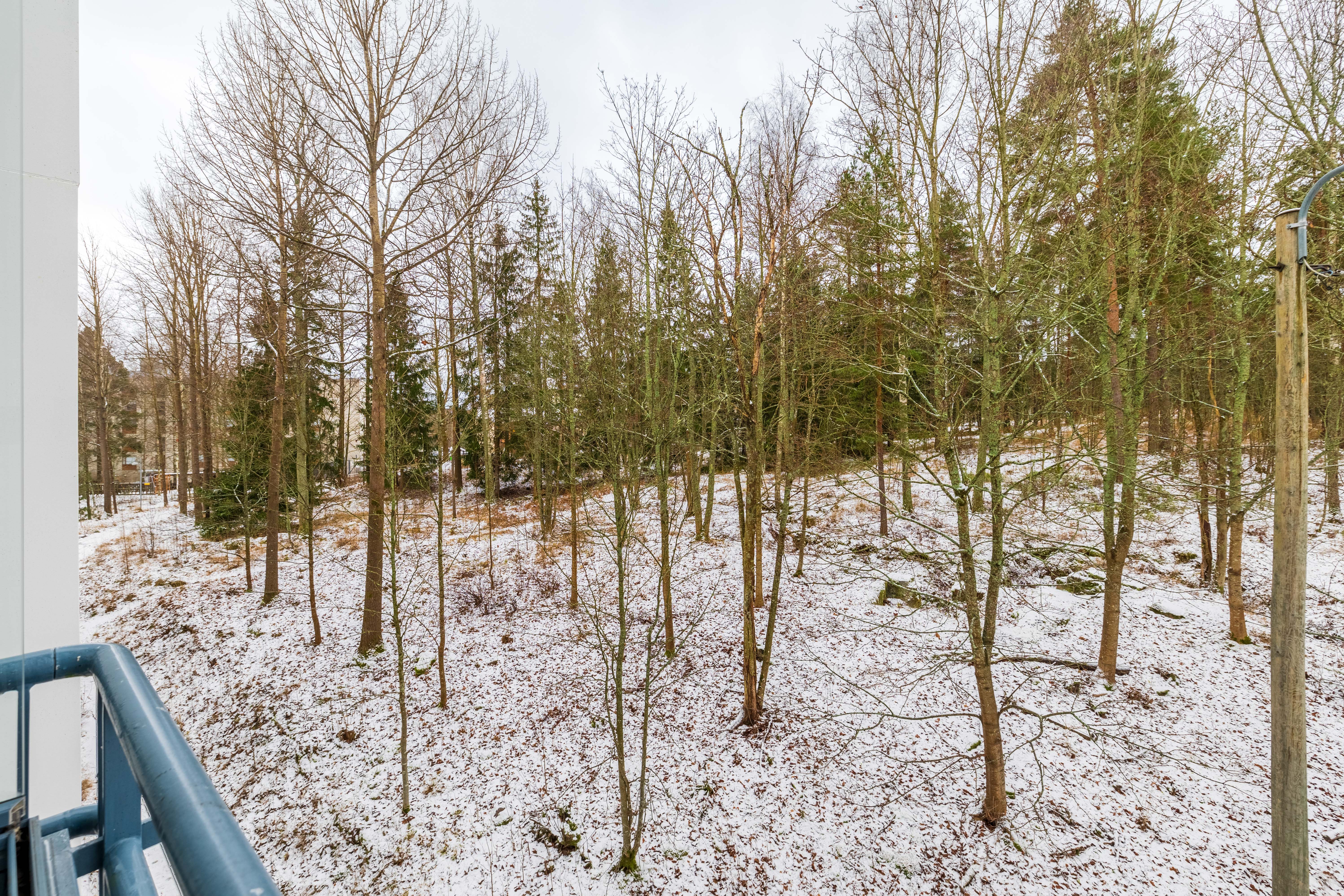 Klaneettitie 10, Helsinki (Kannelmäki), Kuva 8