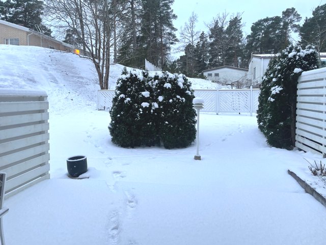 Killivuorenkatu 39 A, 20900 Turku 34