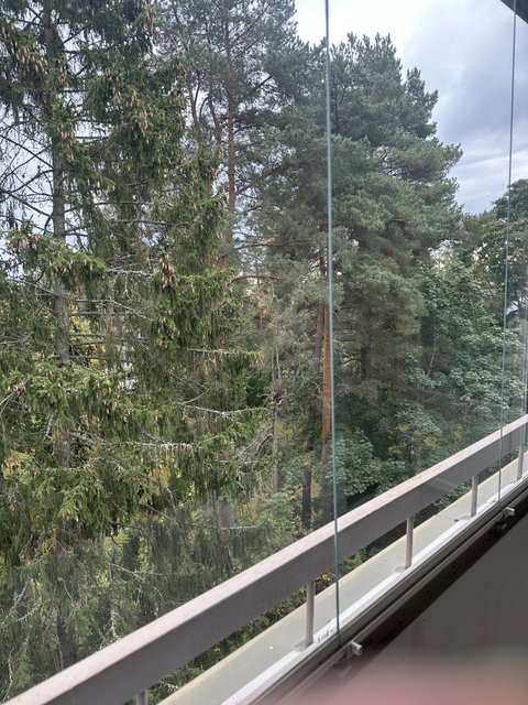 Kohdekuva 8