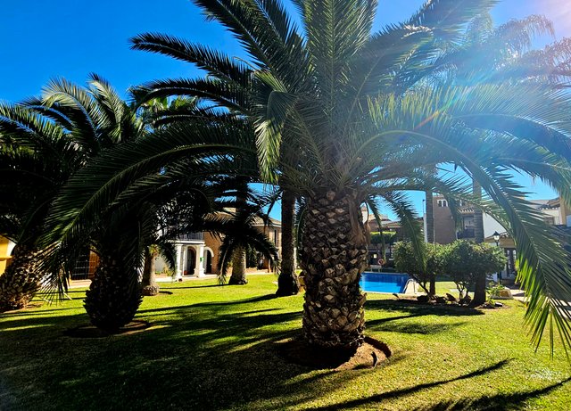 Calle Maestra Ángeles Aspiazu 27