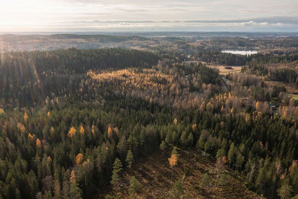 Pusulantie 260, Karkkila, Kuva 3, esikatselu