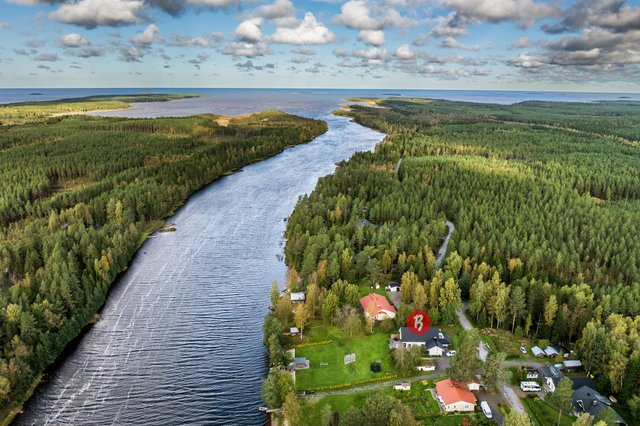 Orreksentie 53