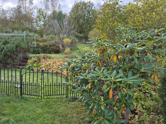 Haaganrinne 8, Siuntio (Haaga), Kuva 21, esikatselu