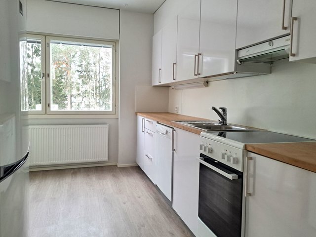 Lehdesniityntie 3, Helsinki (Lehtisaari), Kuva 3, esikatselu