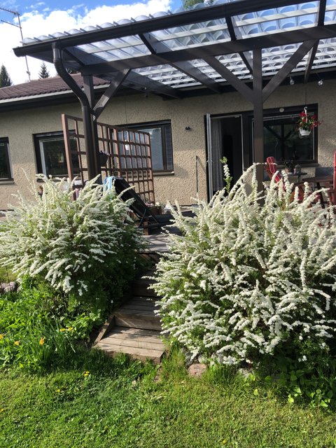 Vipusentie 9, Hyvinkää (Vehkoja), Kuva 26, esikatselu