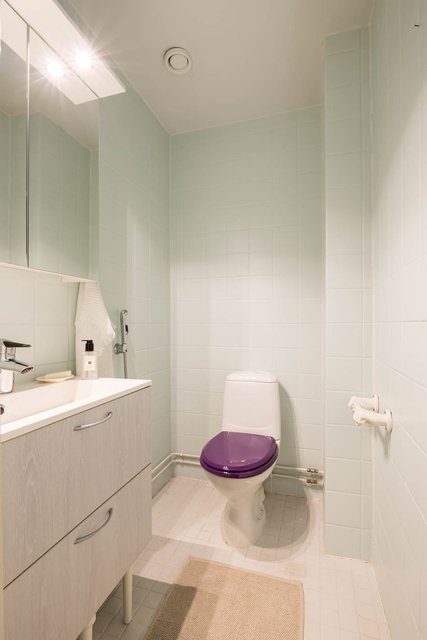 Hämeenpuisto 41, Tampere (Nalkala), Kuva 39, esikatselu