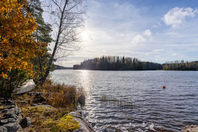Härkäsaari, Sammatti (Sammatti), Kuva 15, esikatselu