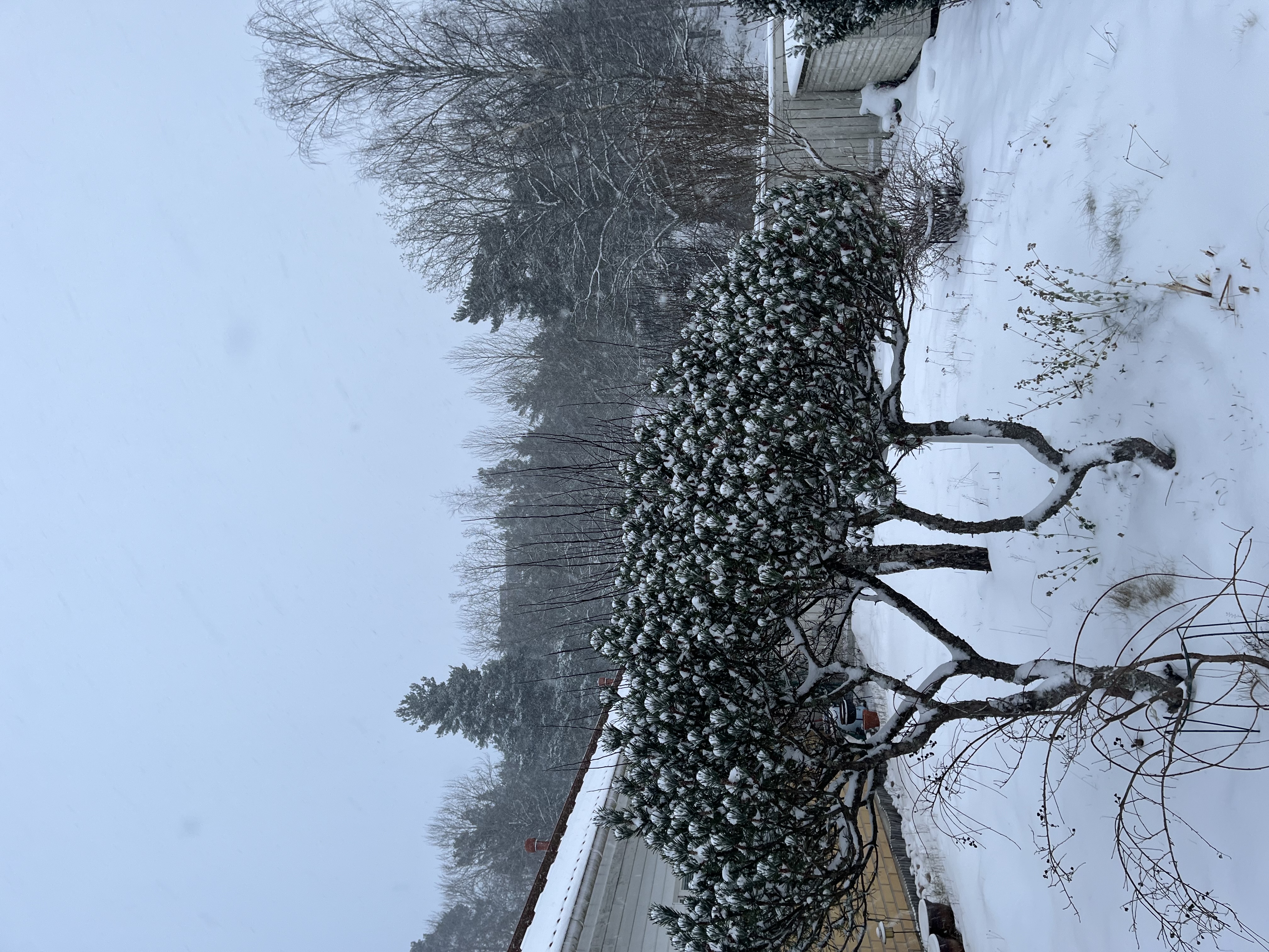 Karrinkatu, Turku (Länsikeskus), Kuva 27