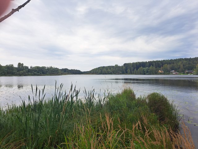Kärkkääntie 83