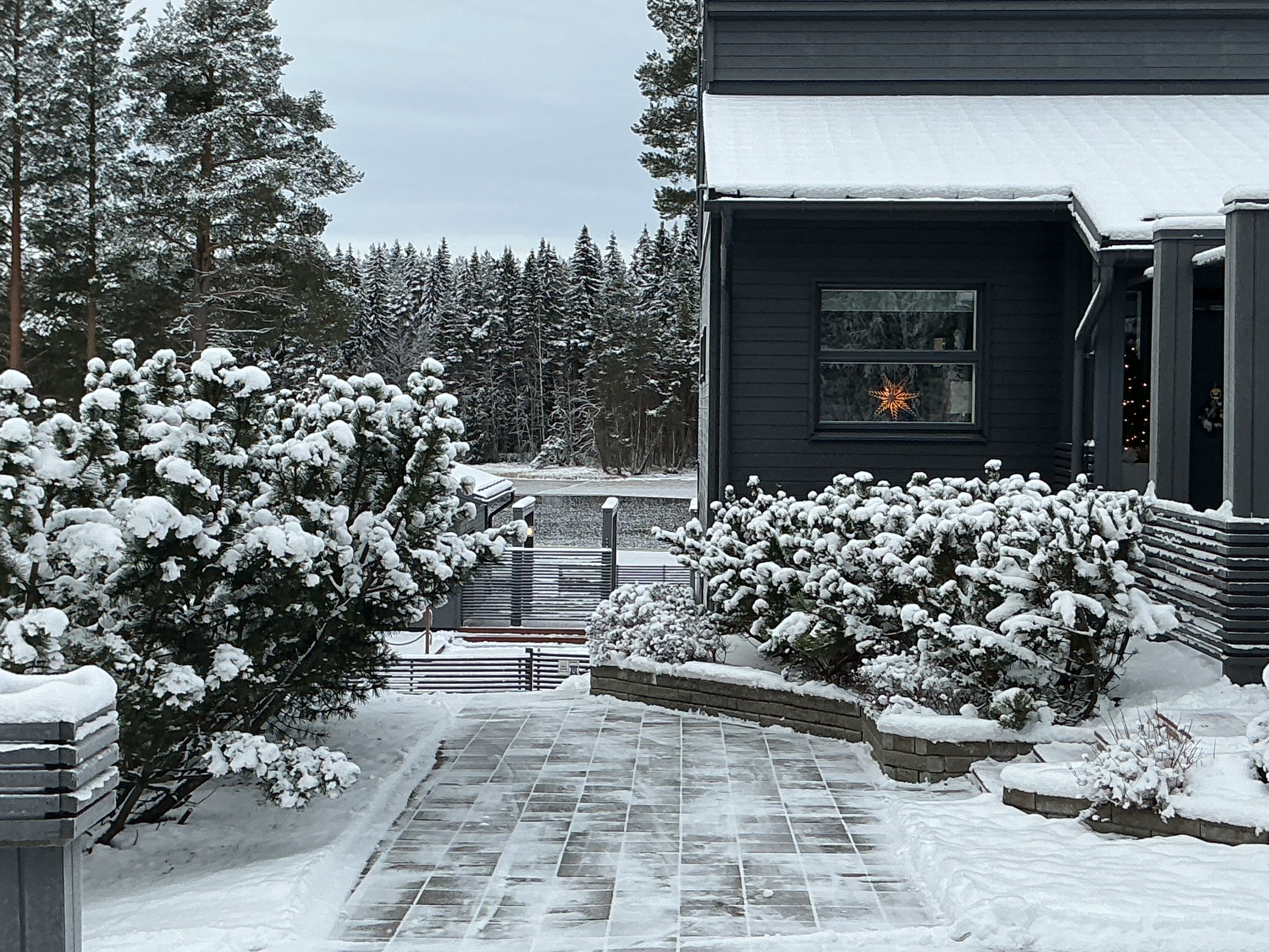 Papinkalliontie 7, Pielavesi (PAPINKALLIO), Kuva 3