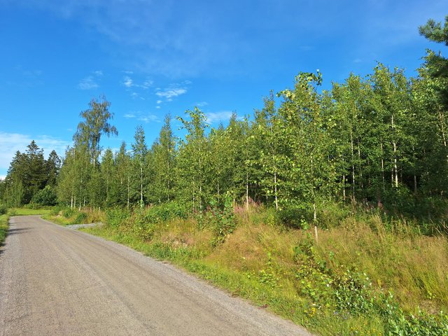 Skepparsintie 95, Sipoo (Linnanpelto), Kuva 1, esikatselu