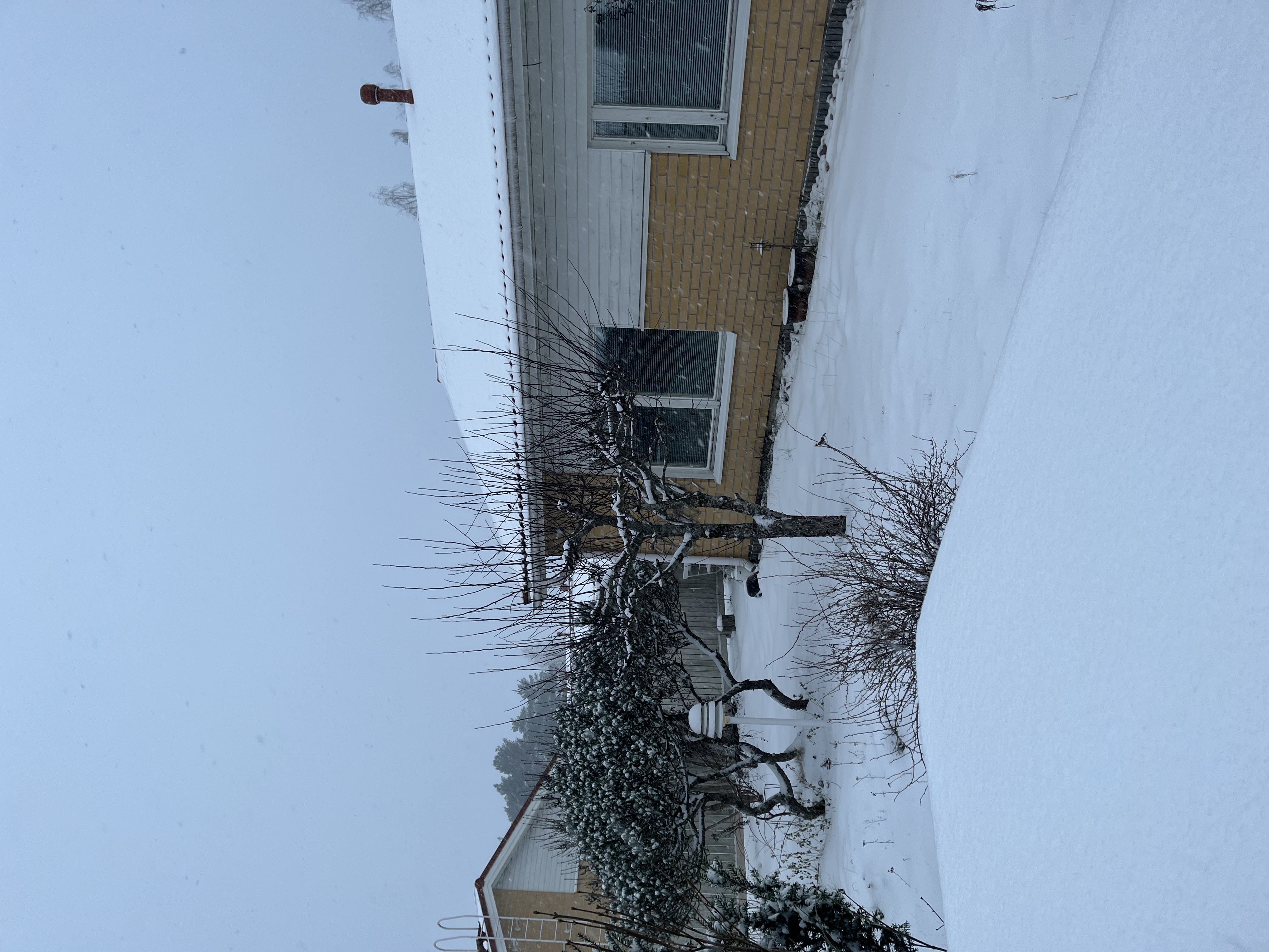 Karrinkatu, Turku (Länsikeskus), Kuva 29