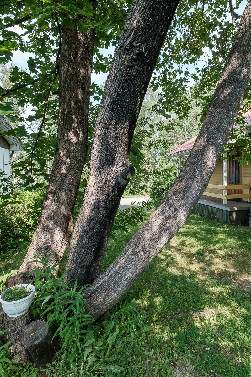 Jousimiehenkatu 8, Äänekoski (Keskusta), Kuva 31