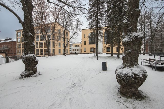 Sairaalakatu, Kuopio (Keskusta), Kuva 23, esikatselu