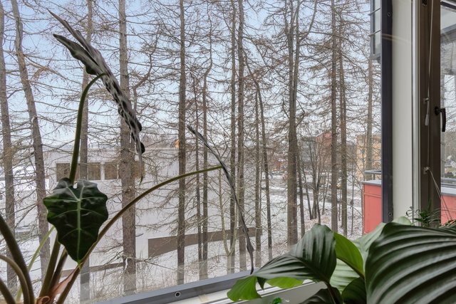 Ortelantie 5, Hämeenlinna (Hätilä), Kuva 14, esikatselu