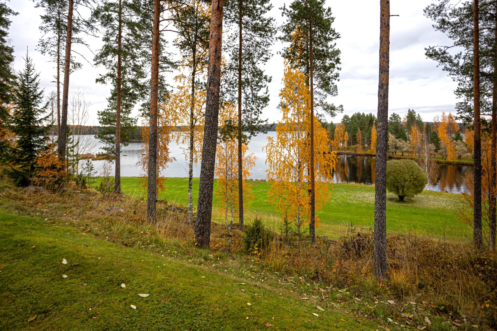 Svingitie 14, Tahkovuori (Tahkovuori), Kuva 6