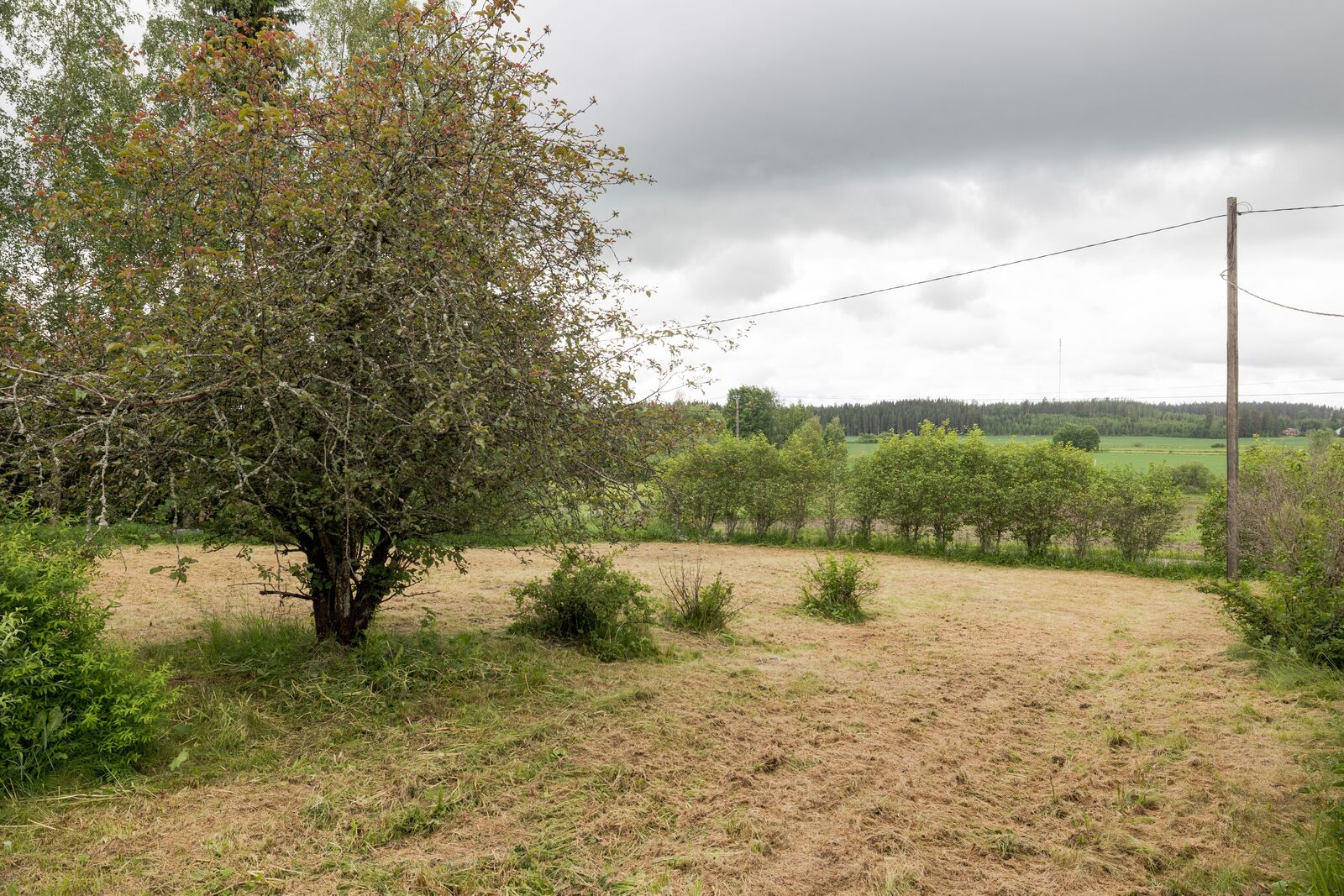 Notkontie 82, Villähde (Villähde), Kuva 20