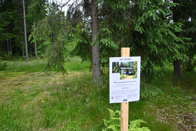 Pitkäniemenpolku 12