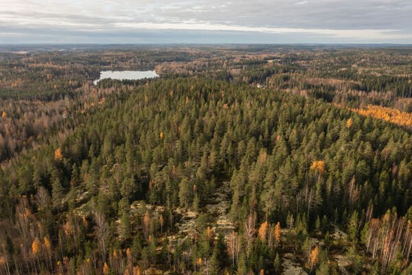 Pusulantie 260, Karkkila, Kuva 7, esikatselu