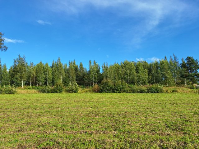 Skepparsintie 95, Sipoo (Linnanpelto), Kuva 5, esikatselu