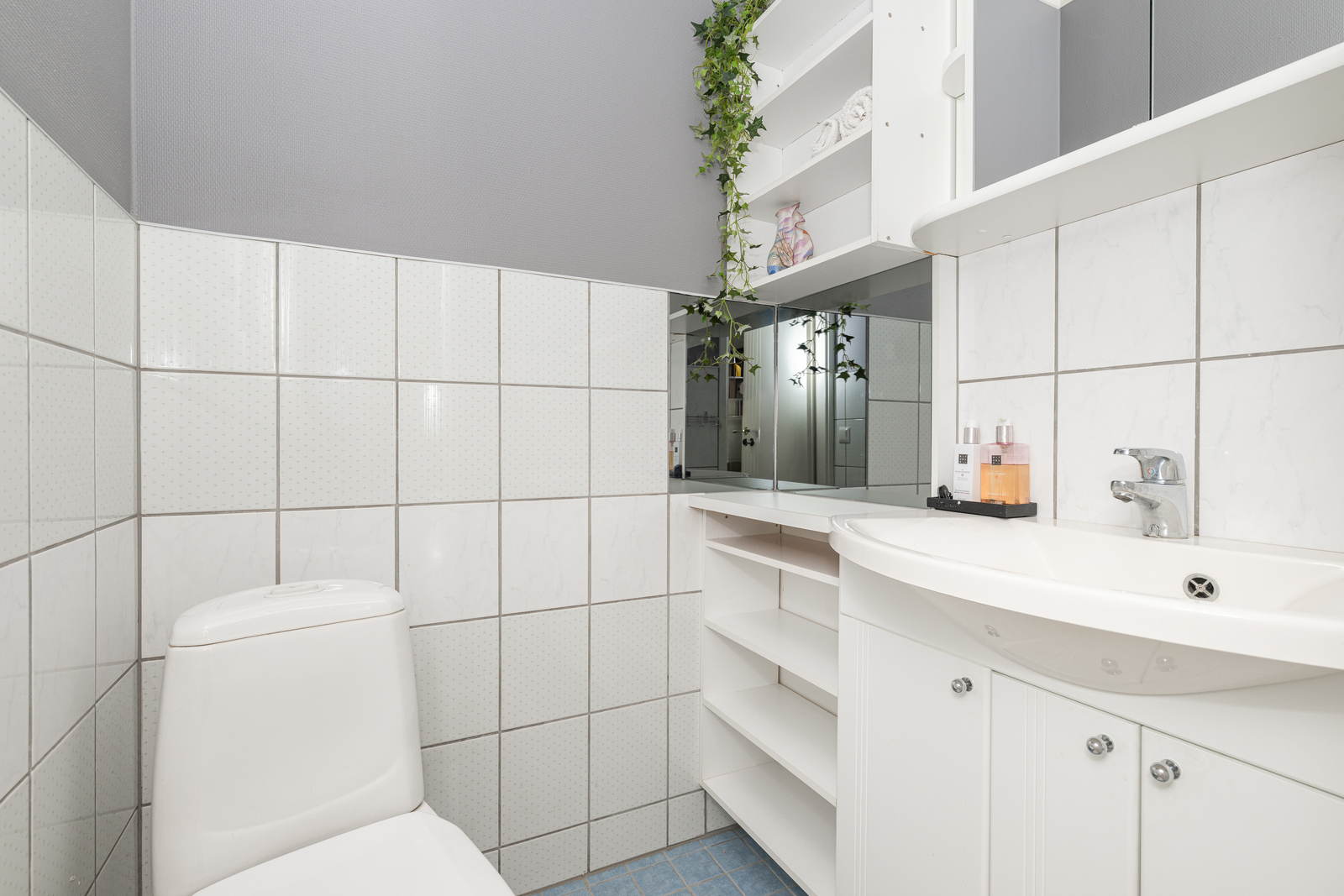 Sireeninpolku 4, Karkkila (Ahmoo), Kuva 12